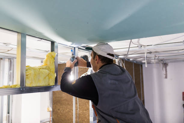 Professional Foam Insulation Services in Painesville, OH